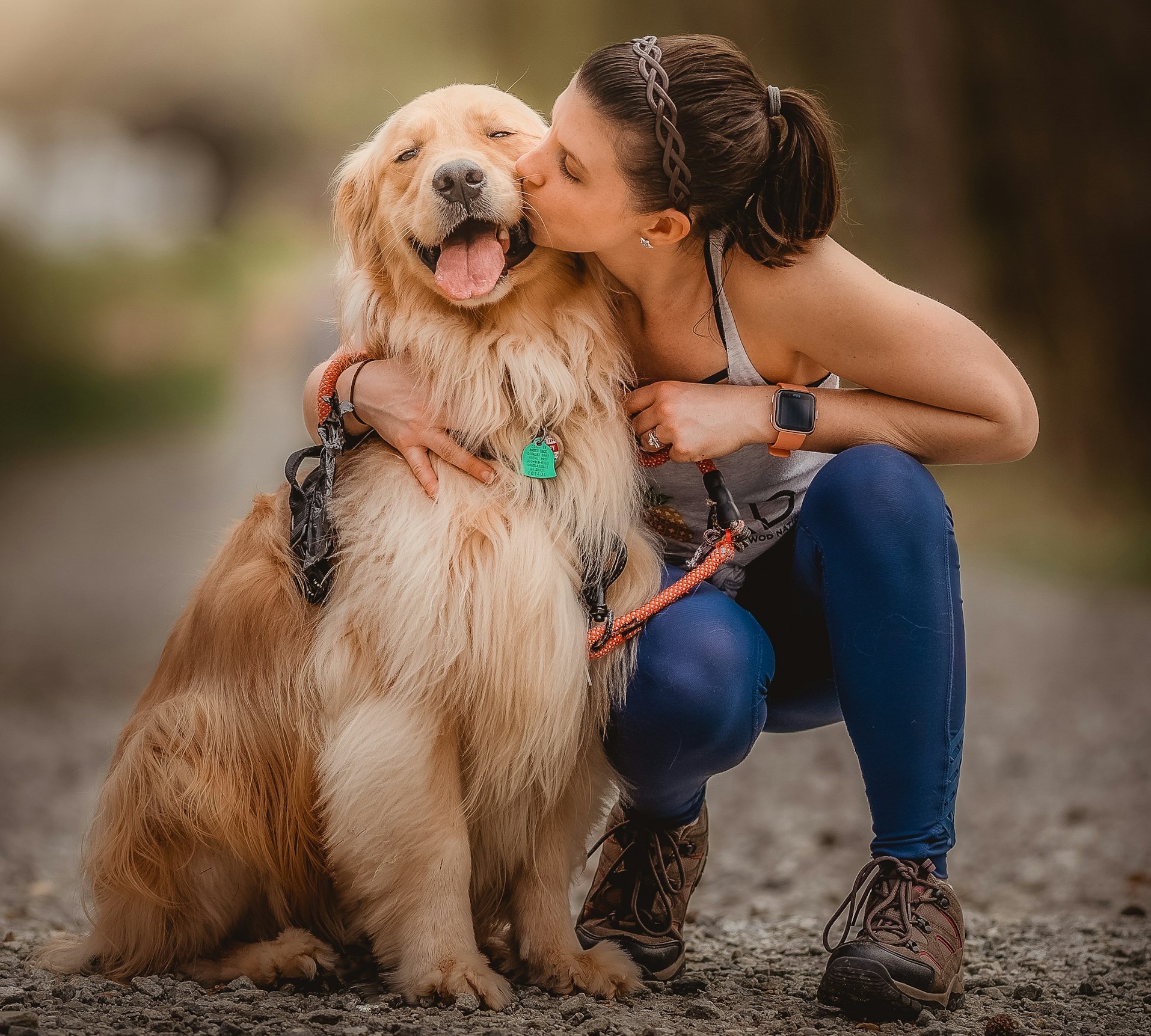 dog image